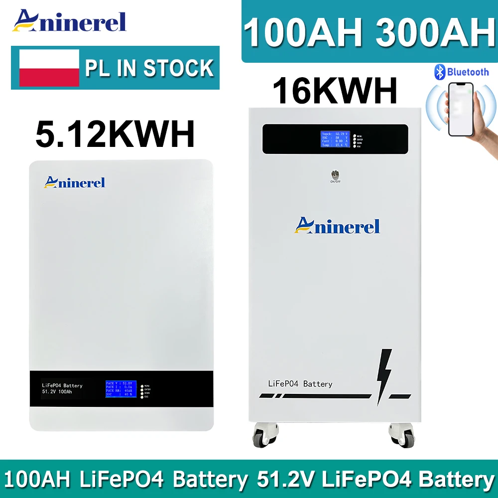 Batteria LiFePO4 Aninerel 51.2V 100AH 314Ah 5.12Kwh 16Kwh con BMS, 6000 cicli, 100Ah 200Ah per accumulo di energia solare, DISPONIBILITÀ PL EU