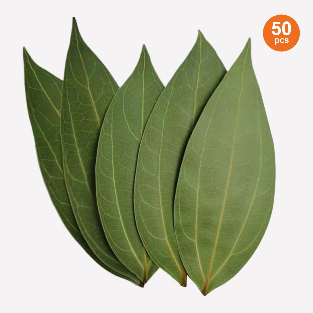 50 pièces de feuilles vertes séchées pressées, matériaux pour gravure laser, outil de bricolage, motifs de portraits pour graveur laser, matériaux pour cadeaux