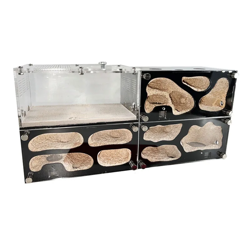Erweiterbares Ameisenhaus aus Acryl, Ameisenkäfig, Insektenbox, Beton-Ameisenfarm mit Intelligenter Temperaturregelung, Ameisennest, Zusammensteckbar Image