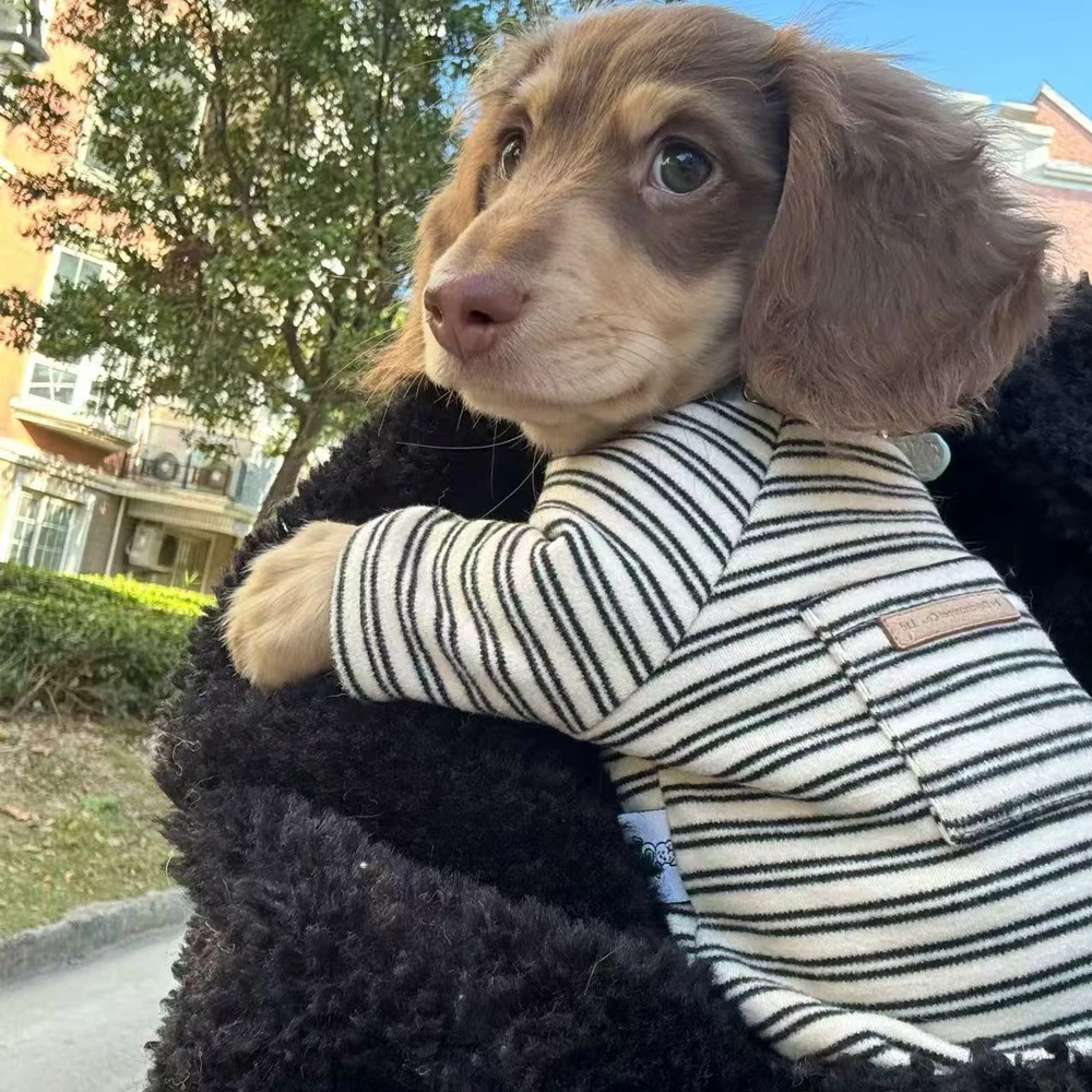 Süßes Baumwollhemd mit Tasche für Wienerhunde, weicher gestreifter Mantel für Dackel im Herbst und Frühling, Pyjama für Dackel Image