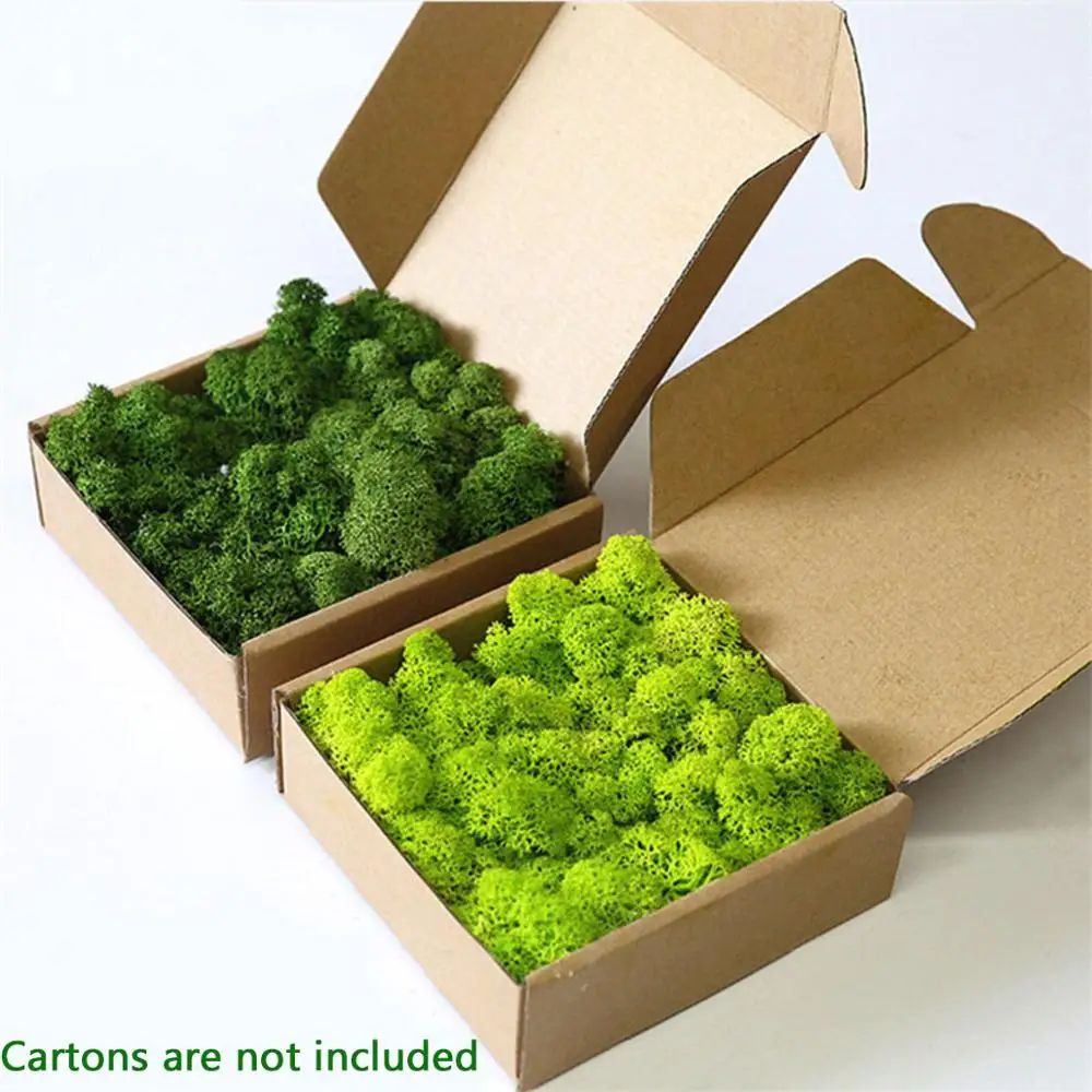 Artificial Moss Garden Decor Eternal Greenery For DIY And Home Styling 6