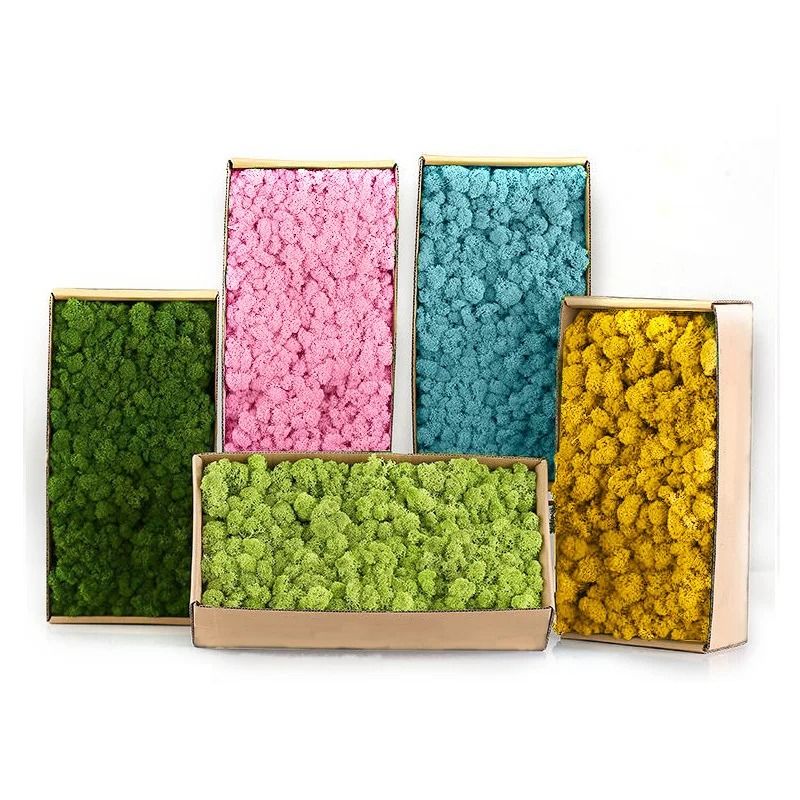 Artificial Eternal Moss Grass | Mini Landscape Greenery | Realistic DIY Craft Moss For Home & Garden black 100 G