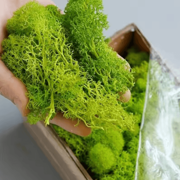 Artificial Moss Grass Realistic Mini Landscape Moss For DIY Crafts, Home & Garden Decor dark Green 100gram