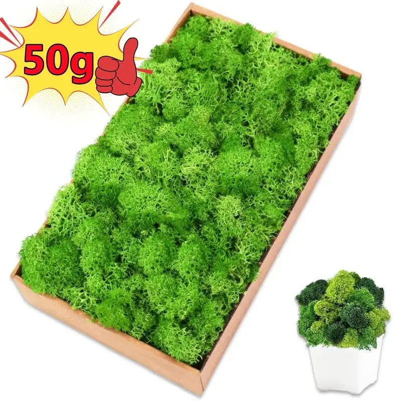 Artificial Moss Mini Landscape Decor Realistic Fake Greenery For DIY Crafts & Home Garden Decoration 3 10g