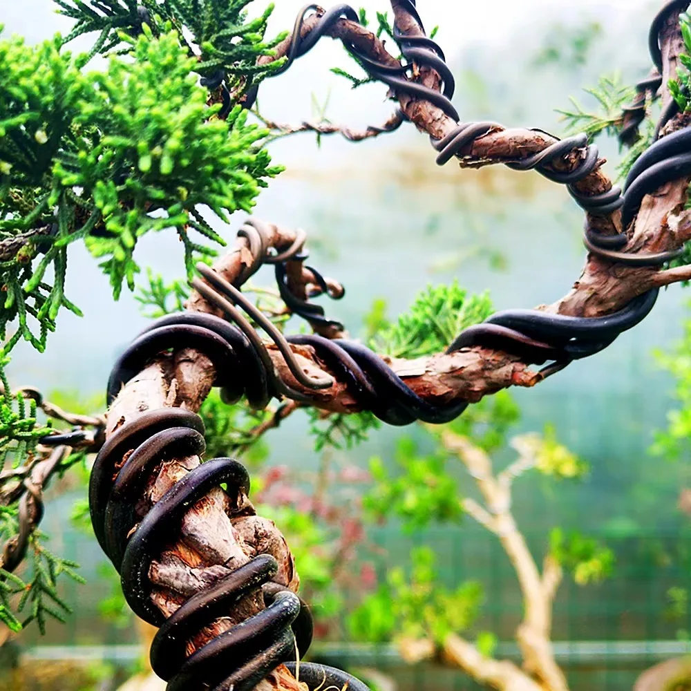Aluminium-Bonsaidraht 1/1,5/2/2,5/3mm Pflanzenstütze Bonsai-Trainingsdraht Pflanzenformung Garten-Bonsai-Formgebung Gartenzubehör Image