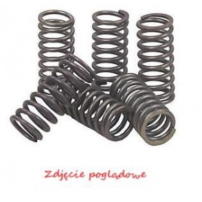 EBC Brakes Kupplungsfedernsatz CSK002 Image