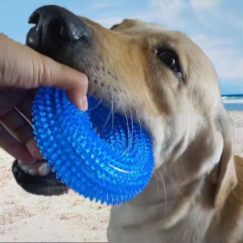 Langlebiges Quietschendes TPR-Hundekau-Spielzeug mit Stachelring-Textur, Zahnreinigungs- und Schleifreifen-Spielzeug für Hunde, ungiftiges Haustier-Molarspielzeug. Image