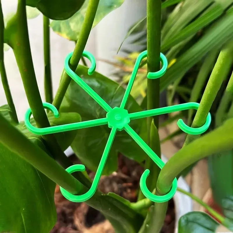 Blume Pflanze Stem Unterstützung Stakes Klettern Zimmerpflanze Stand Rahmen Kunststoff Garten Kein Pfahl Spalier Indoor Anlage Halter Rack Hoops Image