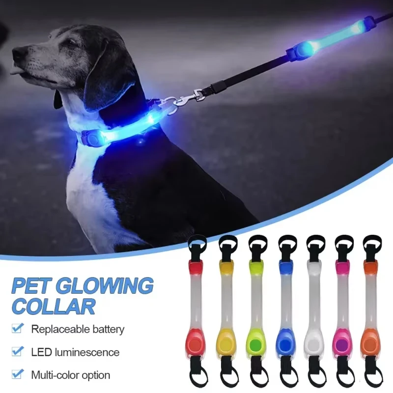 Nachtlaufendes Sicherheitsgurthalsband für Hunde zur Vorbeugung von Verlust. Mehrfarbiger Anhänger. Wasserdichte LED-Blinklicht für den Außenbereich Image