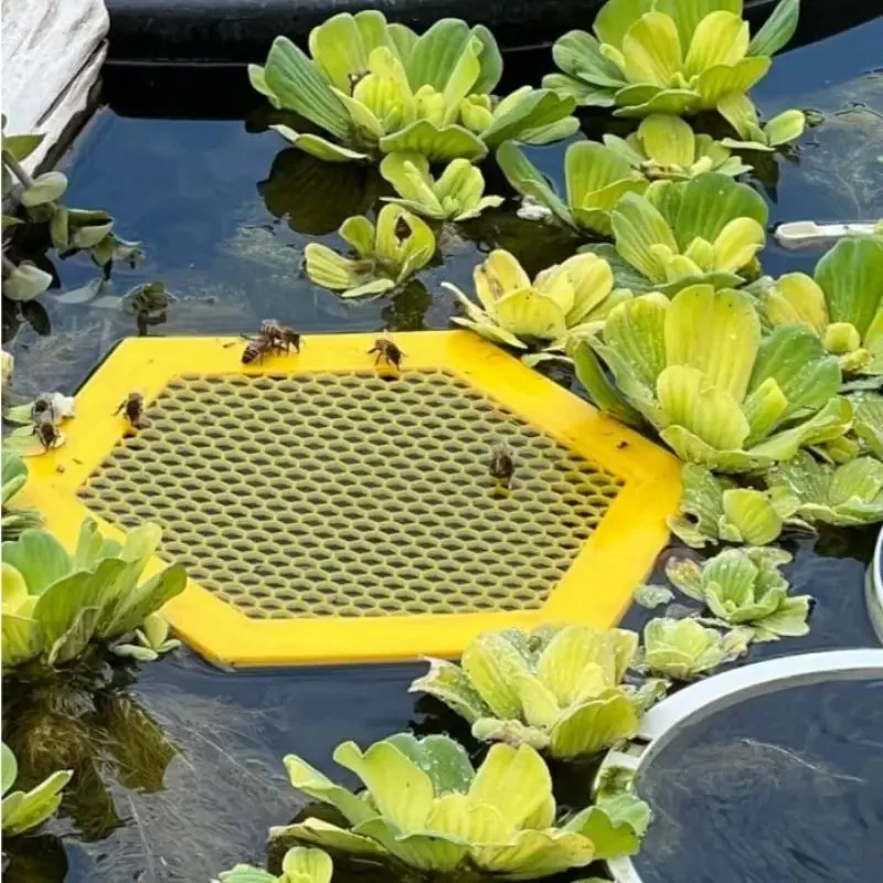 Schwimmende Bienen insel-Bienen tränke sechseckige Bieneninsekten-Trinkschale Acryl-Imkerei-Setups locken Insekten-Tränke-Fänger becher an Image