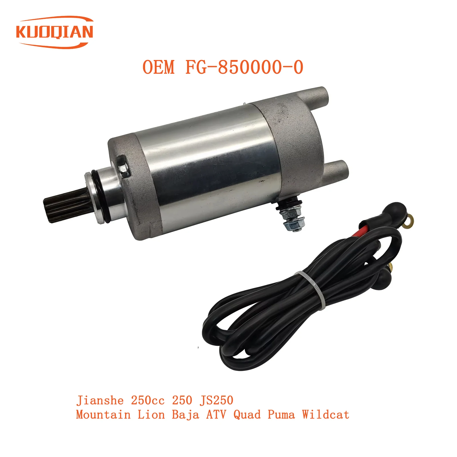 Anlasser für Jianshe 250cc 250 JS250 Mountain Lion Baja ATV Quad Puma Wildcat OEM FG- 850000 -0 Image