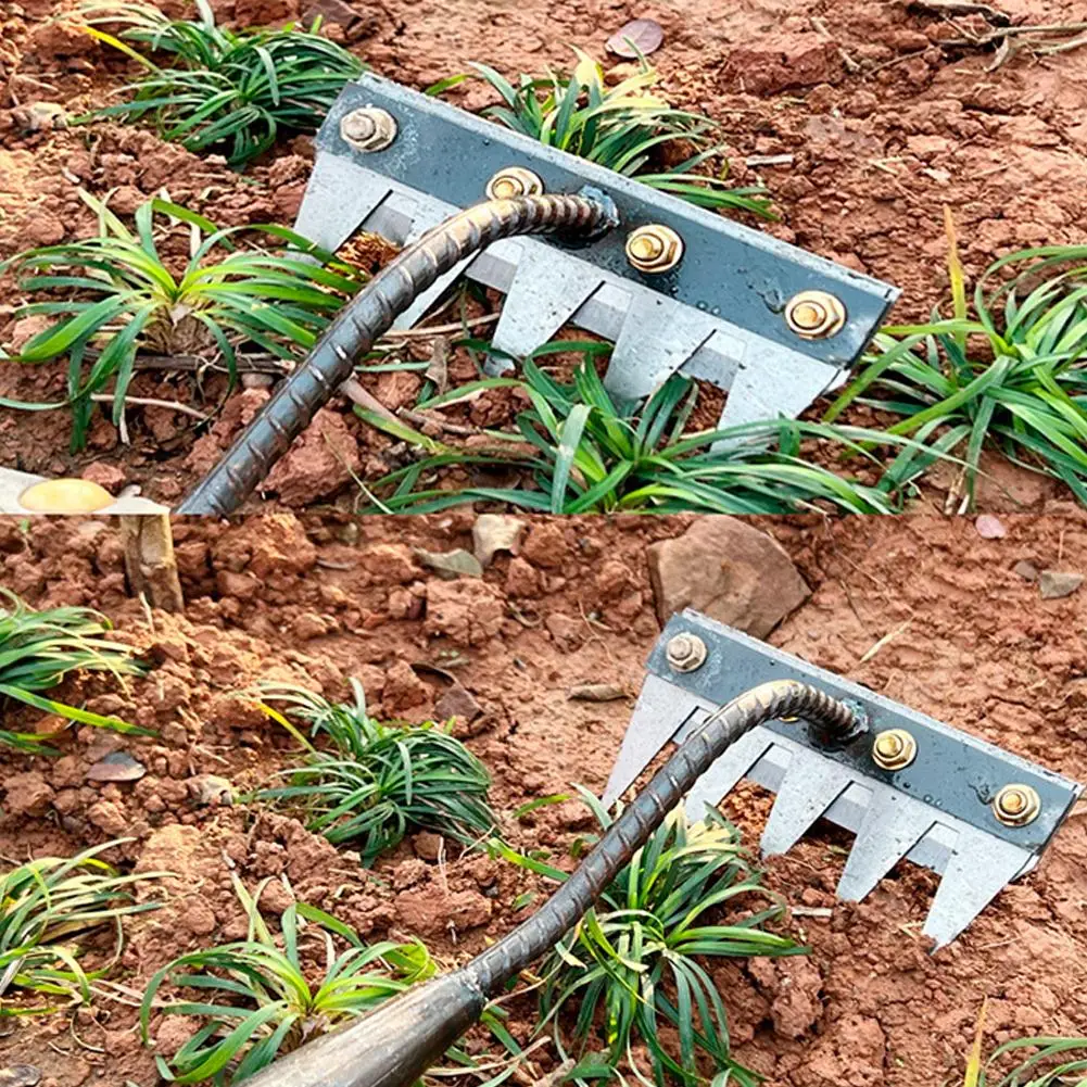 Râteau à main de jardin en acier au carbone, 5/6/7/8 dents, outil agricole, scarificateur de désherbage, herse à ongles agricole, herse en métal, outil de désherbage de jardin