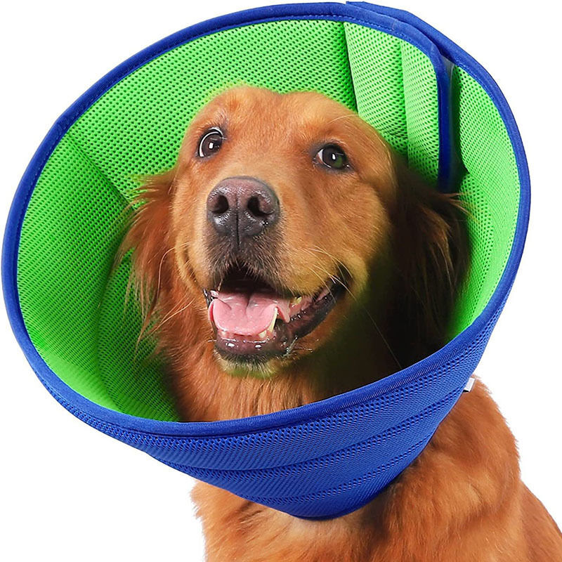Jalleria - Collare Per Cani, Collare Anti-leccate E Anti-graffio Per Cani, Collare Morbido Trasparente Per Cani, Collare Regolabile Per Il Recupero Dei Cani, Cono Di Guarigione Traspirante (blu)