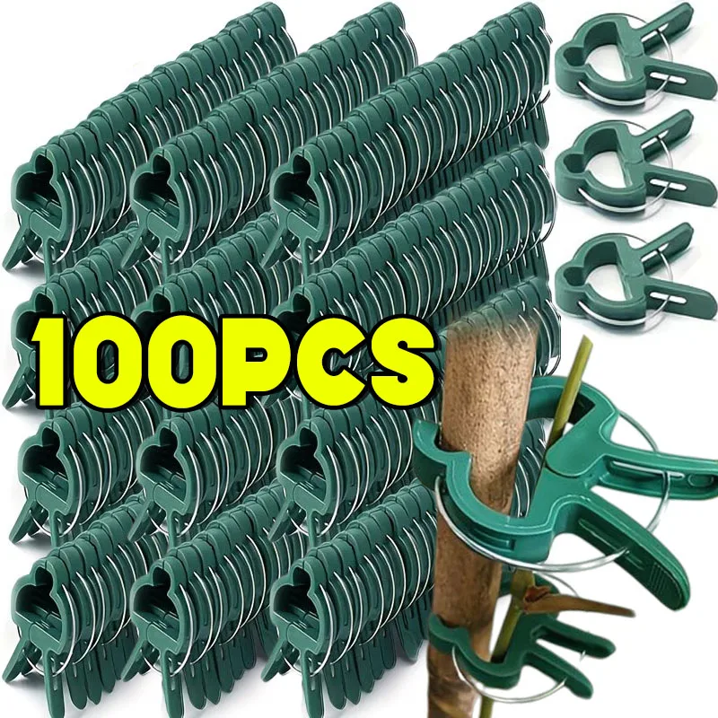 Gartenpflanzenclips, Pflanzenstützclips zum Befestigen von Stielen, Blumen oder Kletterpflanzen an Tomatenkästen Image