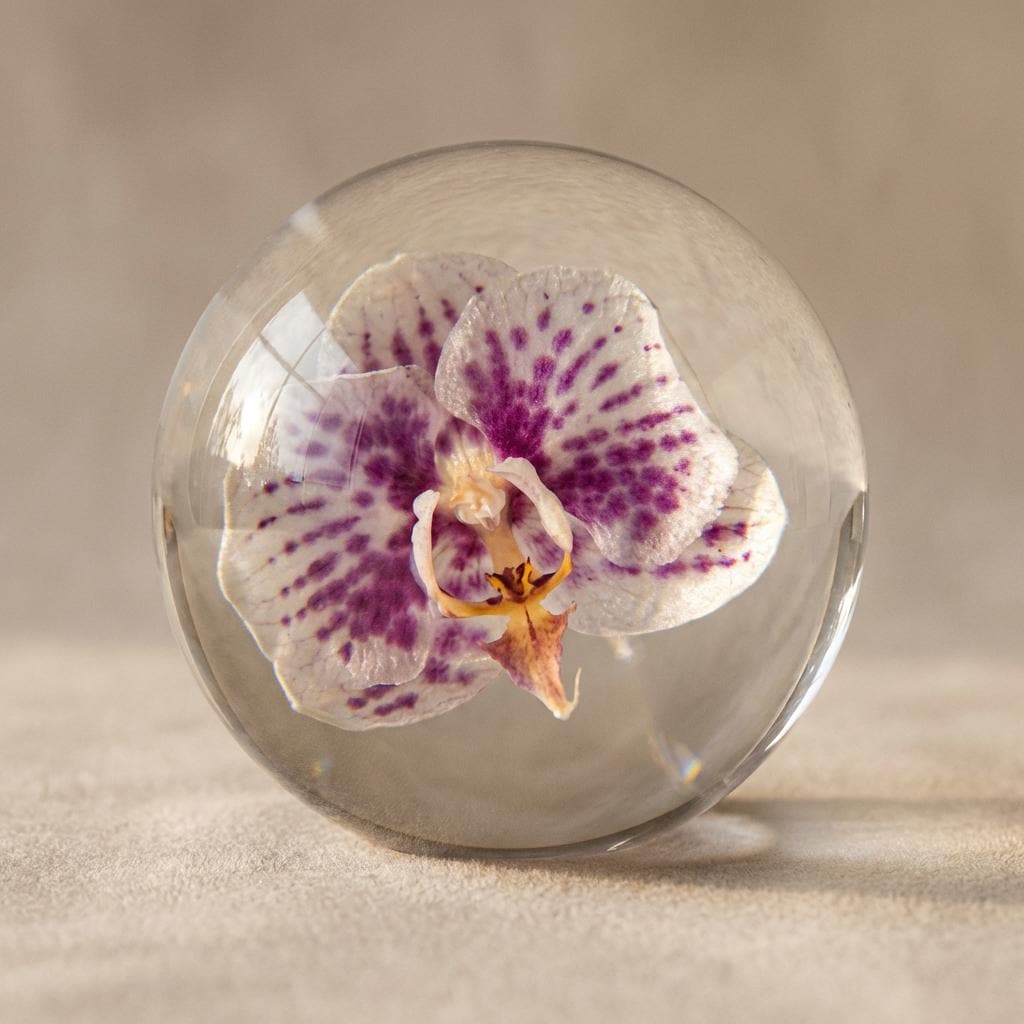 Sfera di resina a forma di orchidea, sfera di cristallo in resina, sfera floreale, decorazione a forma di orchidea, sfera botanica in resina, regalo a