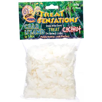 T-Rex Crab Island Hermit Crab Coconut Treat, 50 g