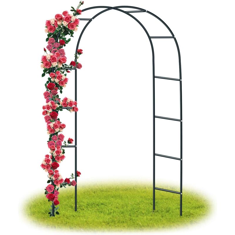 Forever Speed Arco Da Giardino/arco Per Matrimoni Supporto Per Arco Per Rose Colonna Da Giardino, Arco Da Giardino In Metallo Piante Rampicanti Metallo 240 X 140 X 38 Cm/nero-rapanda