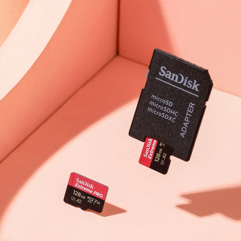 sandisk max endurance 256gb