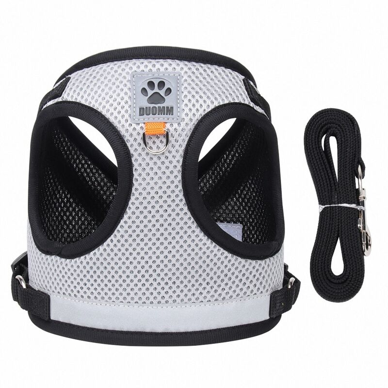 Set Di Imbracatura E Guinzaglio Per Gatti: Imbracatura Antirottura Per Gatti, Guinzaglio Retrattile Automatico Con Imbracatura Per Cuccioli, Imbracatura Regolabile Con Strisce Riflettenti, Guinzaglio