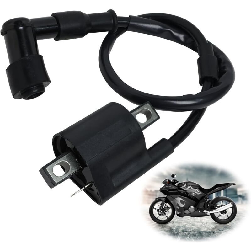 Bobina Di Accensione Per Scooter, Bobina Di Accensione, Bobina Di Accensione Per Dirt Bike Booster, Bobina Di Accensione Per Motocicletta, Per La Maggior Parte Dei Motorini Atv Da 125 Cc, 150 Cc E 250
