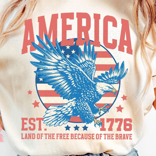 USA Red White And Blue 1776 Summer BBQ 4th Of July Graphic Tee dark Grey l sweatshirt