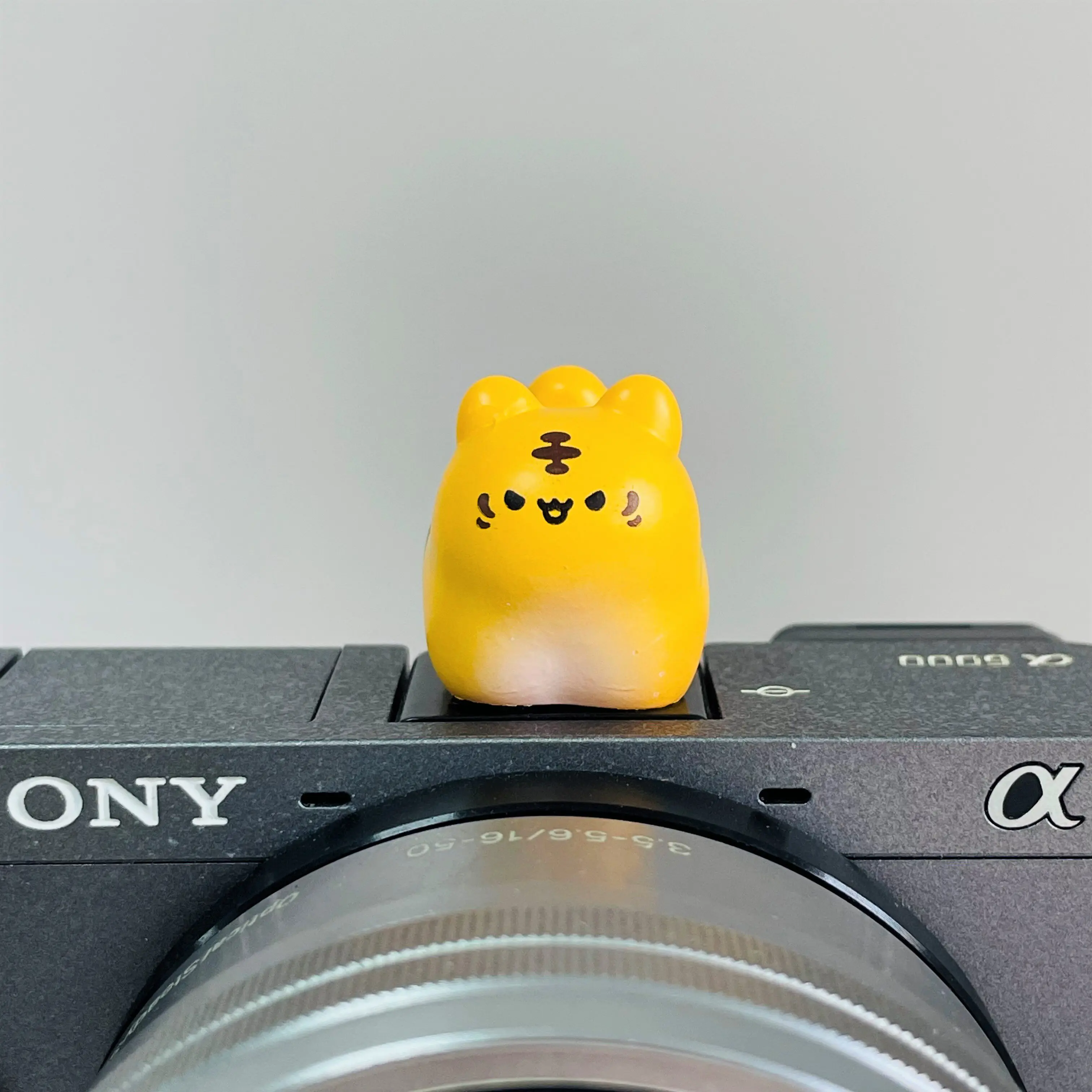 Niedliche Dicke Katze Universal Blitzschuhabdeckung für Leica Q2 Q3 Fuji X100V X-T5 Sony ZV-1 ZV-E10 Canon EOS R5 Nikon Z5 Kamera-Zubehör Image