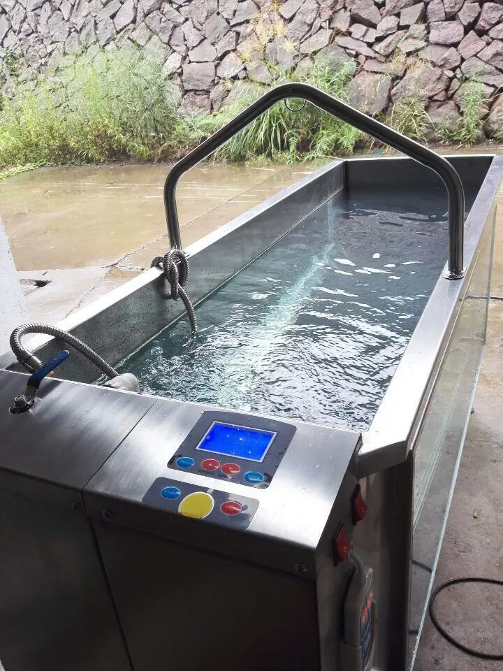 1,75 PS Fabrik Direktverkauf Spa Laufband Einstellen Wasser Temperatur Hund Unterwasser Lauf Therapie Maschine C280 Silent Indoor Image