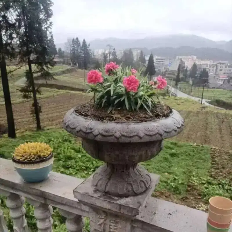 Flower Roman Pot European Garden Building Cement Mold Home Gardening Fence DIY Round Garden Vase Flower Pot Concrete Mold