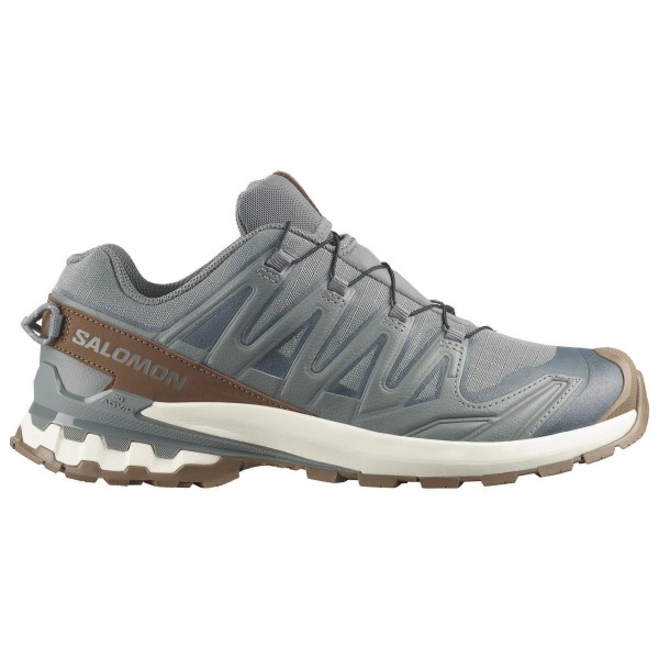 Salomon - XA Pro 3D V9 GORE-TEX Lifelong - Freizeitschuhe 41 1/3 | EU 41 grau