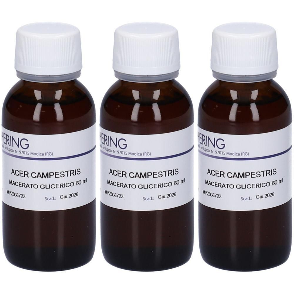 HERING Acer Campestre Gemmeme Macerato Glicerico 3x60 ml