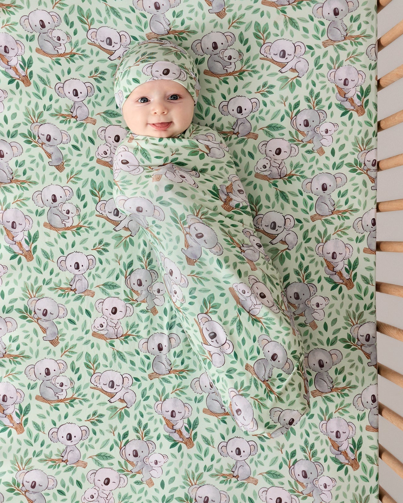 Koala Cuddles Fitted Crib Sheet - Standard
