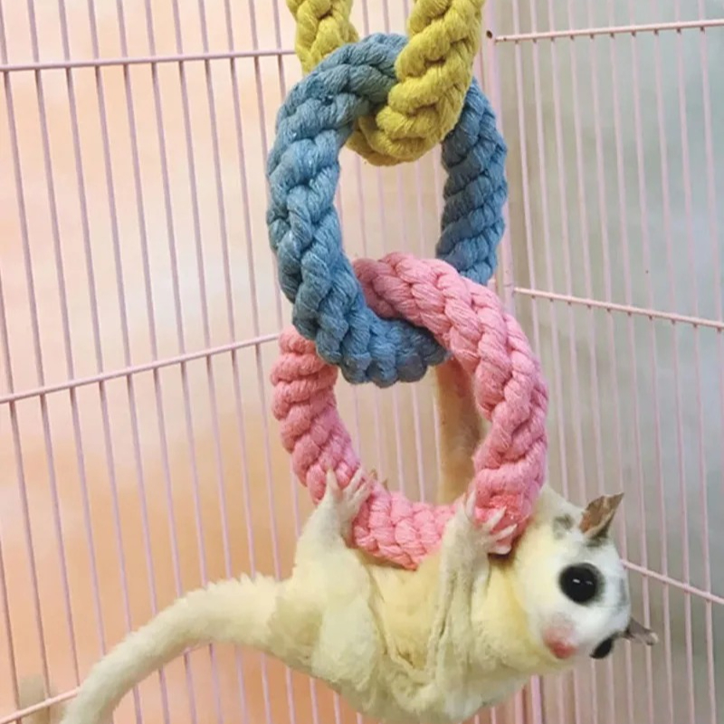 Colorful Rope Pet Toy Dog Grinding Teeth ChewingToys Interactive Parrot Climbing Rope Toys Colorful Rope Pet Toy Dog Grinding Teeth ChewingToys Interactive Parrot Climbing Rope Toys