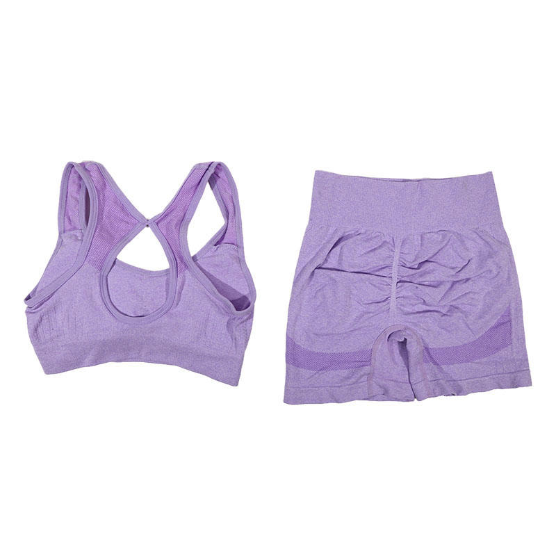 Women's Yoga Set Quick Dry Workout Set For Women With Fitness Vest & Sports Shorts purple xl(70 80kg)
