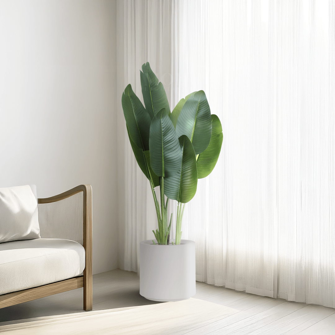Bird Of Paradise Large Artificial Plant - Realistic Silk Leaves, Maintenance-Free Greenery | 70 Â¾