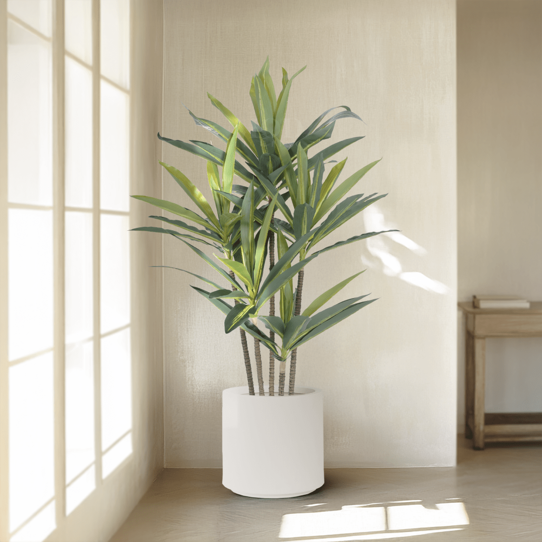 Dracaena Artificial Plant - Realistic Silk Leaves, Maintenance-Free Greenery | 47 Â¼