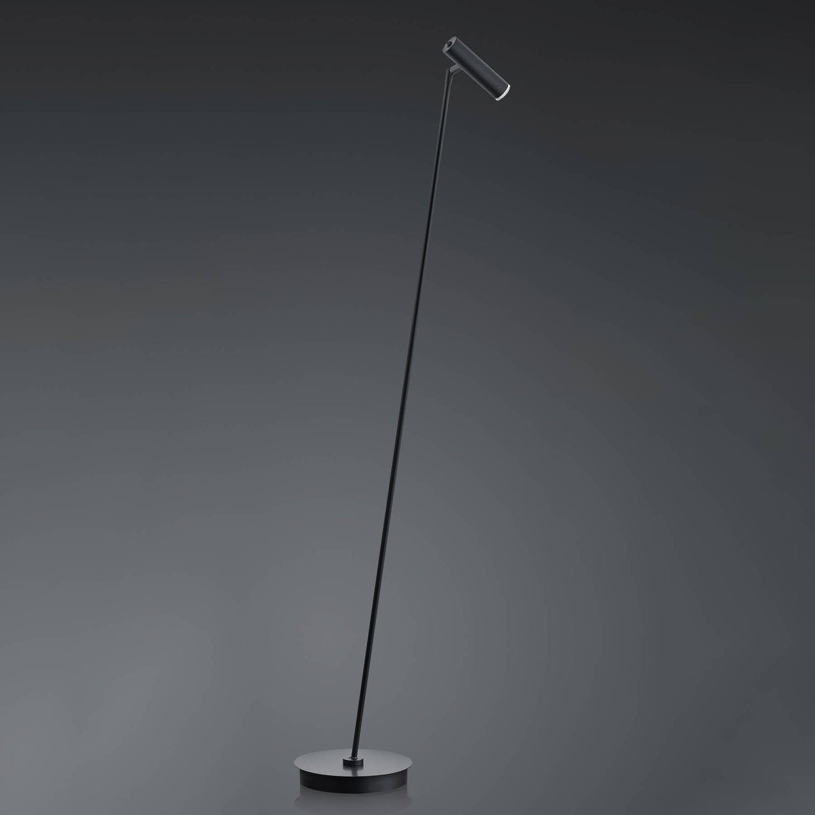 HELL Lampada da terra a LED Tom, dimmerabile, Nero, Soggiorno / Sala da pranzo, Acciaio Inox, Moderno, Lampada LED da terra