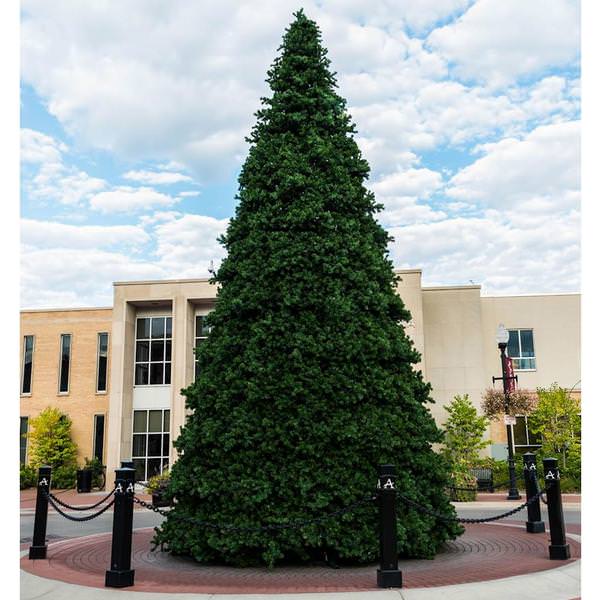 Vickerman 625798 - 12' x 105" Artificial Grand Teton Frame Tree Christmas Tree (G194212)