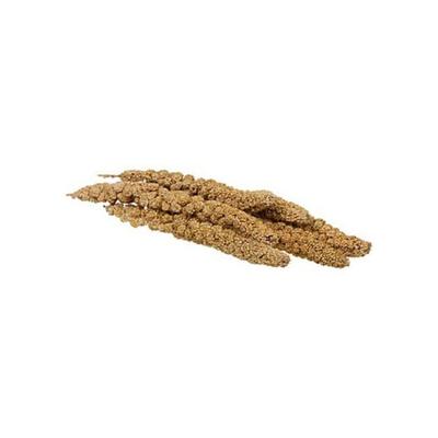 Healthy Select Spray Millet - 6 Pack, 4oz
