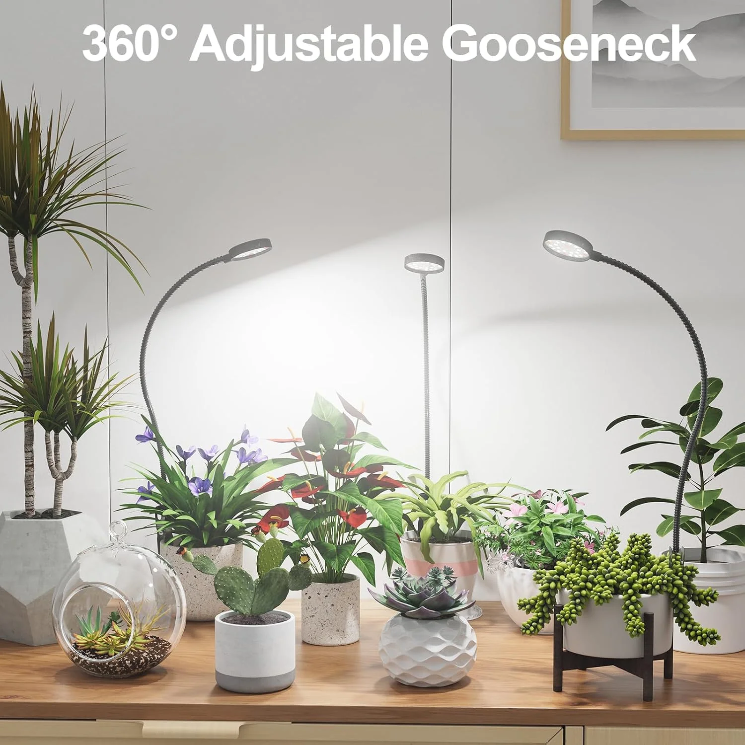 USB LED Pflanzenlampe 6000K Vollspektrum Topfpflanzenleuchte 5V Schwanenhals-Klemmleuchte mit dimmbarer Auto-Ein/Aus-Funktion 4/8/12/18 Stunden