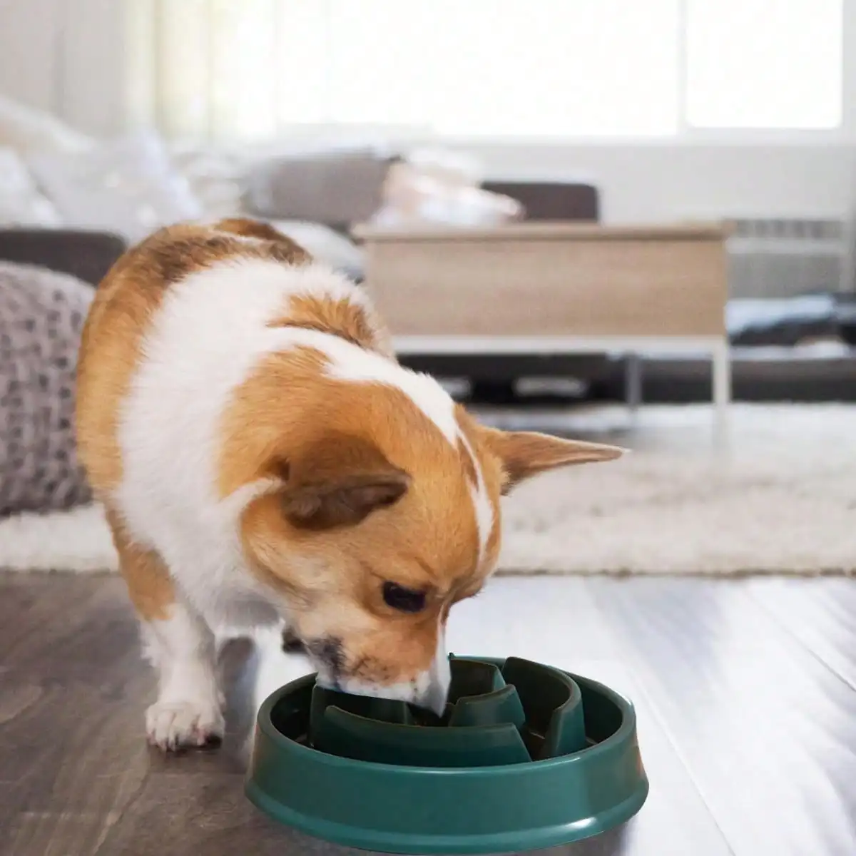 1 Stück Outward Hound Fun Feeder Slo Bowl, Slow Feeder Hundenapf, blumenförmiger Slow Food Bowl für Haustiere