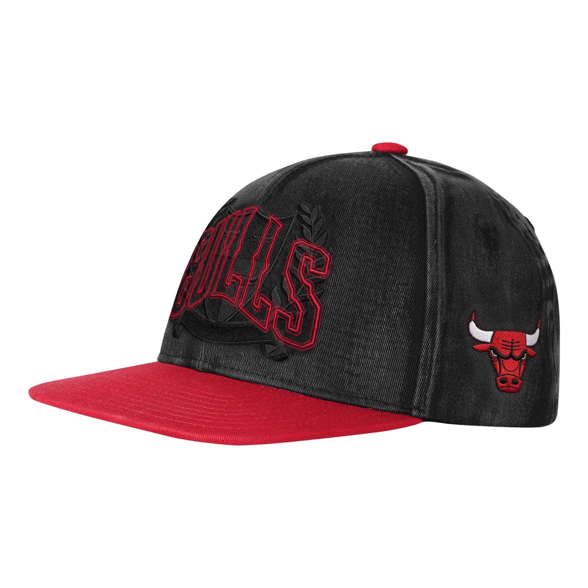 Chicago Bulls Logo FlatBrim Snapback - Jugend