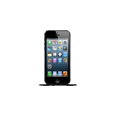 Apple 16GB iPhone 5 - Black & Slate