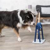 Trixie Pet Products Mad Scientist Dog Activity Game Plastic (affordable option) in Blue | 12.75 H x 8.5 W x 7 D in | Wayfair 32019