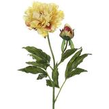 CC Home Furnishings Club Pack of 12 Artificial Yellow Peony Silk Flower Stems 28