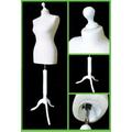 Female Tailors Dummy White Size 10/12 Dressmakers Fashion Students Mannequin Display Bust with A White Wood Base