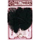 Ostrich Feathers 2/Pkg-Black Pk 6 Zucker