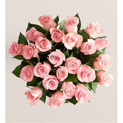 1-800-Flowers Flower Delivery Pink Petal Roses 24 Stems, Bouquet Only | Happiness Delivered To Their Door
