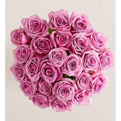 1-800-Flowers Flower Delivery Passion For Purple Roses 24 Stems, Bouquet Only