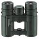 ESCHENBACH Optik 10x32 Sektor D compact+ Fernglas – der leichte Allrounder für gehobene Ansprüche für Wanderung, Vogelbeobachtung, Wildbeobachtung in der Natur - geeignet für Brillenträger