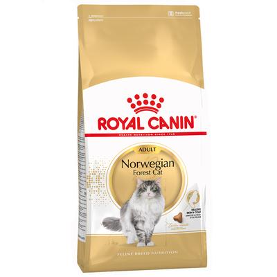 10kg Norwegische Waldkatze Adult Royal Canin Katzenfutter trocken